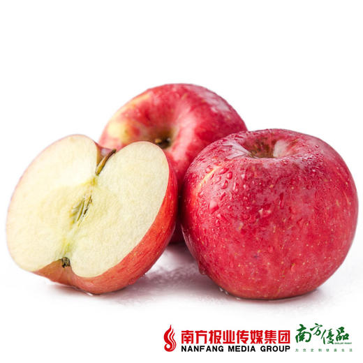 【爽脆多汁】山东富士苹果 单个80-85mm   约5斤 商品图0