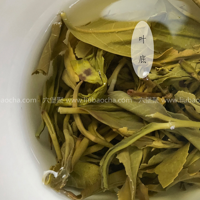 2017年 原种六堡塘坪冬茶（250g）