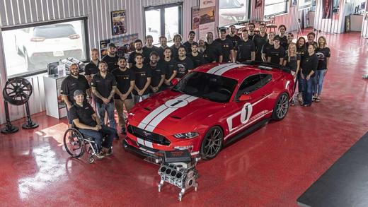 轩尼斯野马拉花（颜色可实际个性定制，默认白色，邮费到付） 商品图1