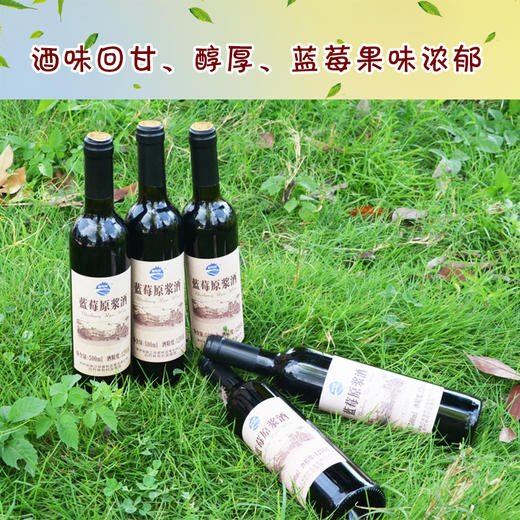 黔东南麻江【麻江蓝莓·白竹林原浆果酒】500ML  750ML  特惠价 买3送3  全国包邮 部分地区不发货  自然发酵 无任何添加 酒味回甘醇厚 蓝莓果味浓郁 商品图1