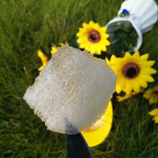 秋月梨 脆如冰汁若蜜 自然长成 真正的不催熟不膨大 包邮 |百里食 商品图8