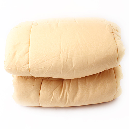 金黄色被子冬被加厚保暖棉被褥学生宿舍春秋被芯太空调被C19