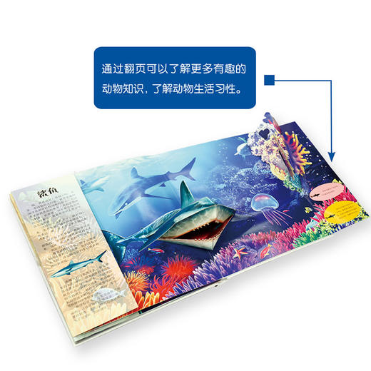 超炫超酷的3D立体发音书--野生动物弹出来 商品图2