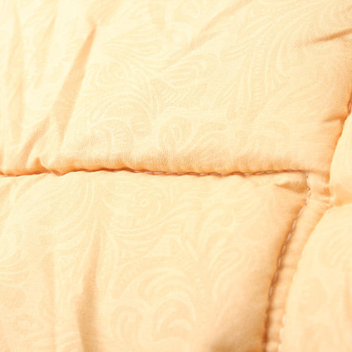 金黄色被子冬被加厚保暖棉被褥学生宿舍春秋被芯太空调被C19 商品图1