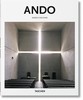 【中商原版】安藤忠雄 英文原版 ando Masao Furuyama andP 艺术设计 建筑师作品集 商品缩略图0