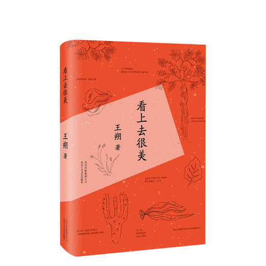 王朔：看上去很美 商品图0