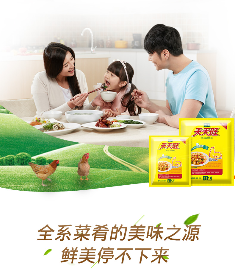 太太乐 天天旺鸡精调味料40g (调料)