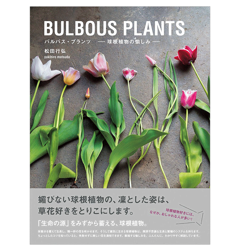 Bulbous Plants 球根植物种植方法花艺景观