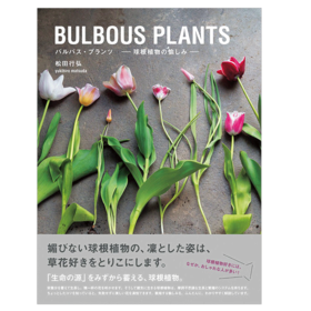 BULBOUS PLANTS，球根植物种植方法 花艺景观