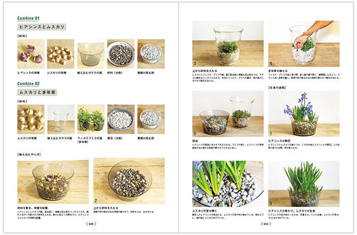 BULBOUS PLANTS，球根植物种植方法 花艺景观 商品图2