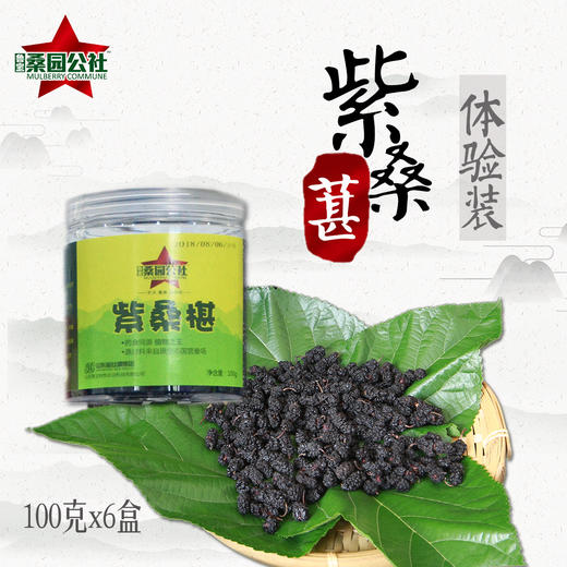 【桑园公社】冻干桑椹(50g/盒) 商品图1