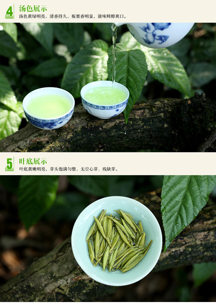 2022新茶重庆茶业巴南银针150g高山绿茶叶绿茶新茶明前春茶