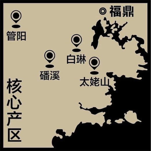 【自营】手工白茶（寿眉）2018年份茶 商品图3