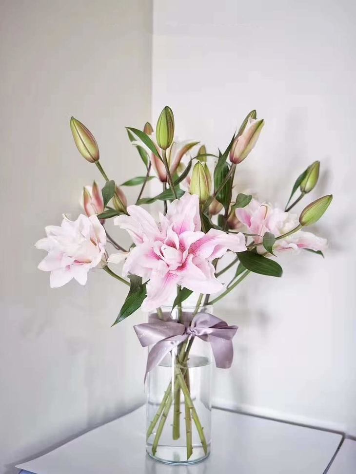 重瓣百合伊莎贝拉2头5枝