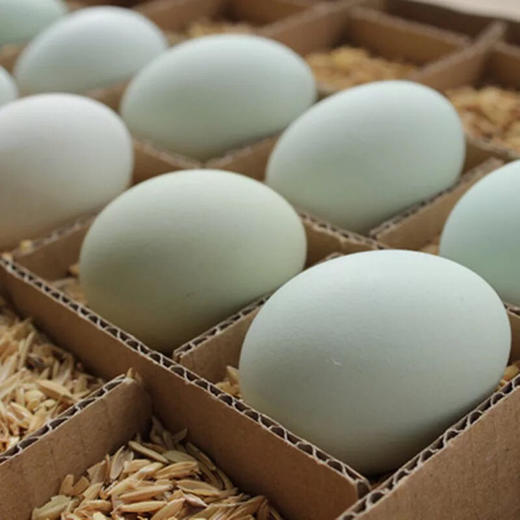 甄源|江苏绿壳蛋30枚约2.7-3斤土鸡蛋 商品图9