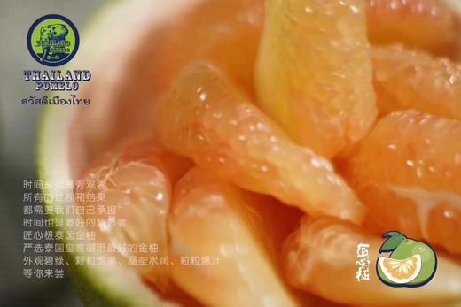 翡翠柚 商品图0