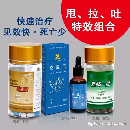 凯鸽甩拉吐三剑客【克腺王+胀嗉一绝60粒+毒霸60粒】 商品图0