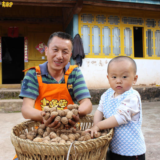 土哆哆大姚野生老树薄皮干核桃香脆无涩感，老树核桃个头偏小 商品图0