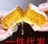 |巢蜜纯天然野生百花蜜蜂窝| 商品缩略图6