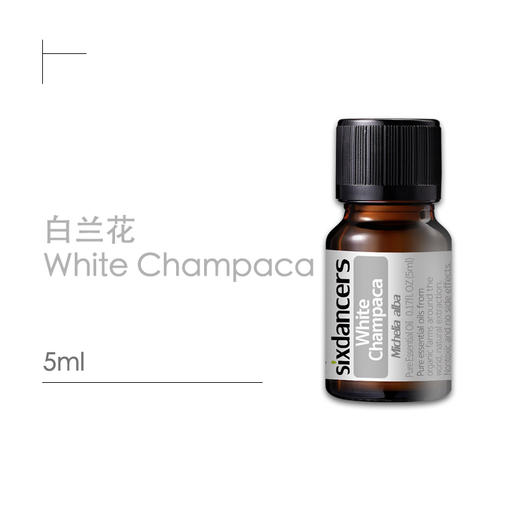 白兰花 / 白兰叶（10ML） 商品图0