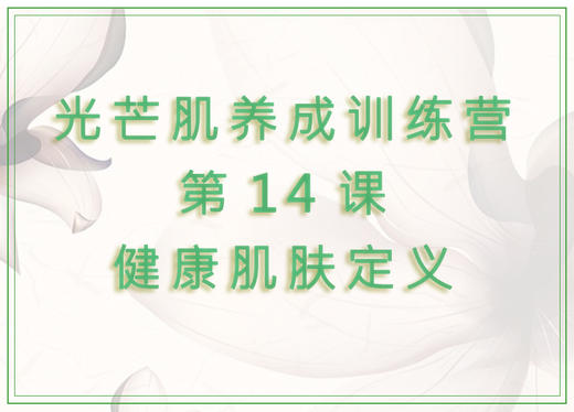 第14课  健康肌肤定义 商品图0