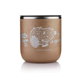 SP-C071F 史努比奢耀保温餐桶