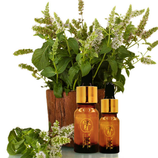 爱香薰精油肾草本植物香养精油补肾阴助肾阳调理身体非遗传承