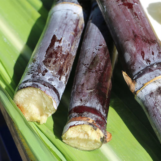 原生态种植甘蔗现砍现发货甘甜多汁新鲜美味1kg装