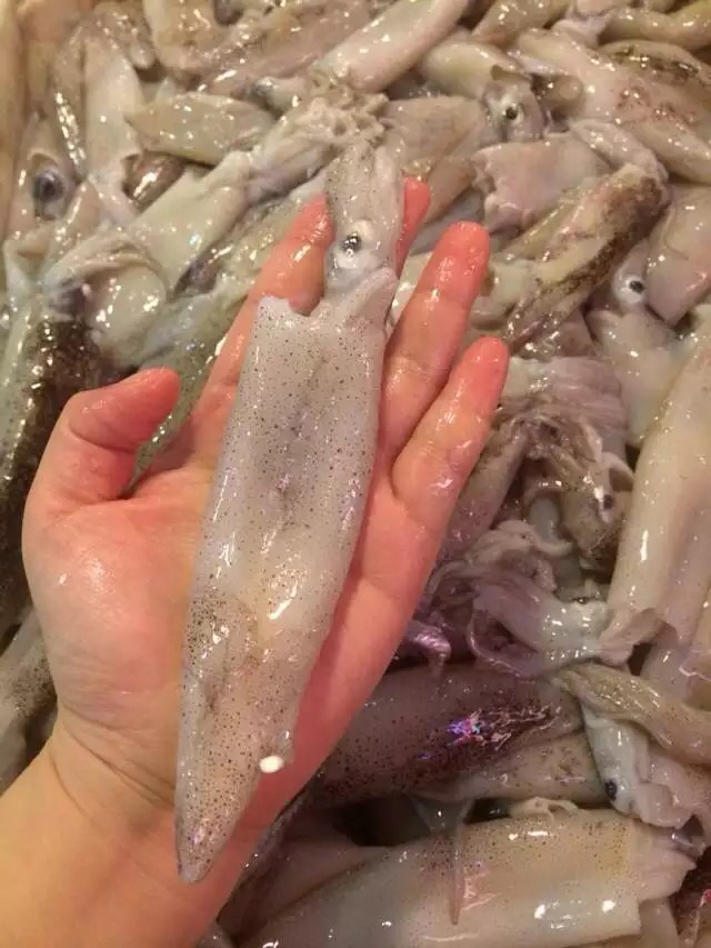 【诸暨慧购,舟山鱿鱼】500克一份!来自东海深海的野味,肉质紧致鲜美