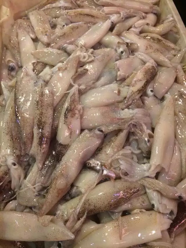 【诸暨慧购,舟山鱿鱼】500克一份!来自东海深海的野味,肉质紧致鲜美