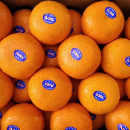 2PH澳橘  薄皮柑橘 商品图2