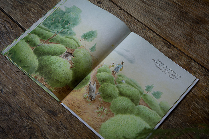 茶香记春茶茶文化茶百科图画书儿童读物