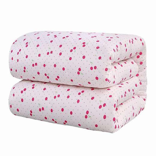 棉被外罩纱布 2*2.3米 商品图0