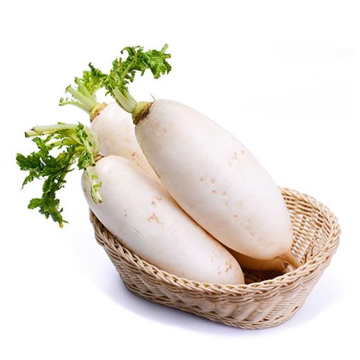 自产/有机方式种植  白萝卜 商品图0