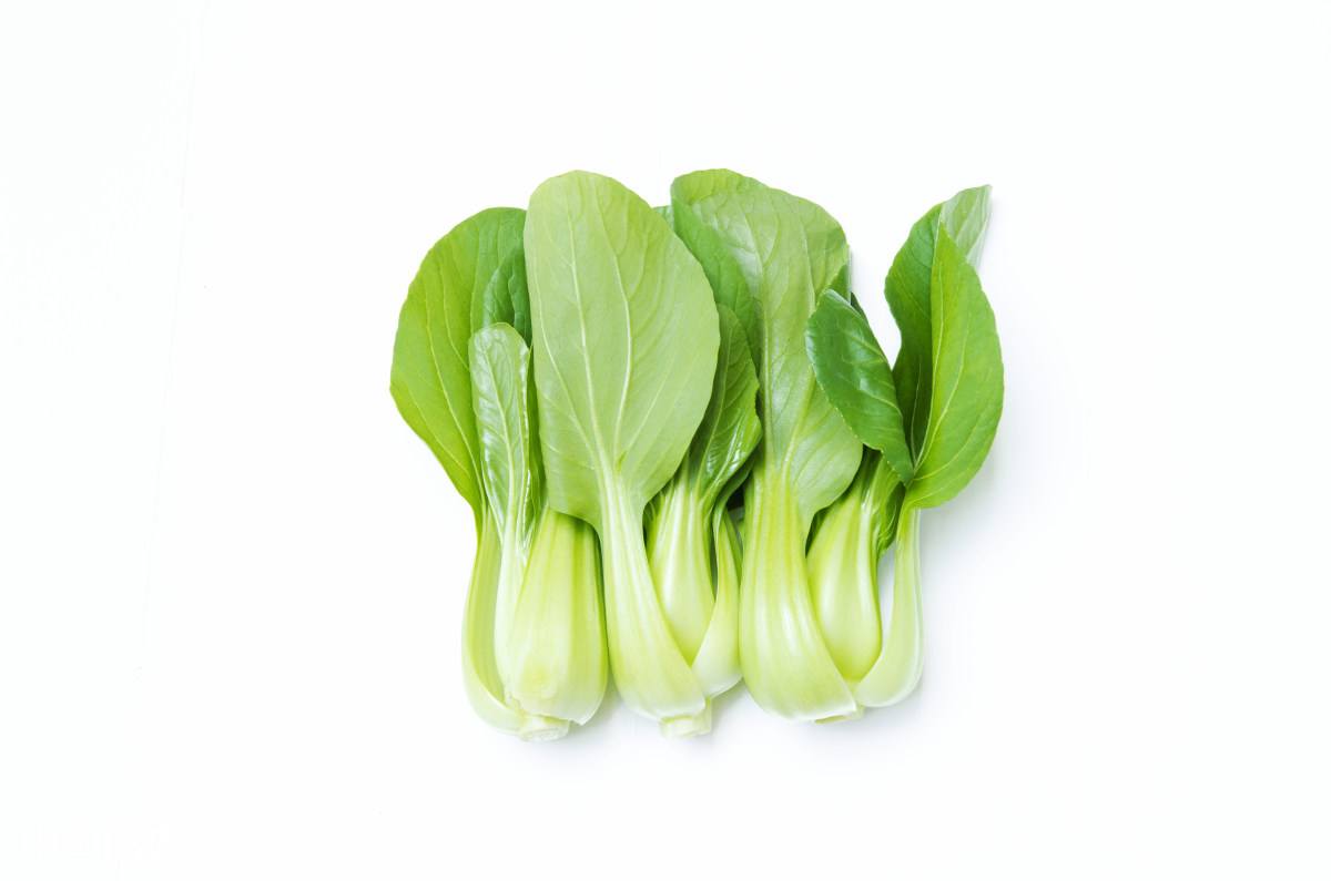 自产/有机小白菜