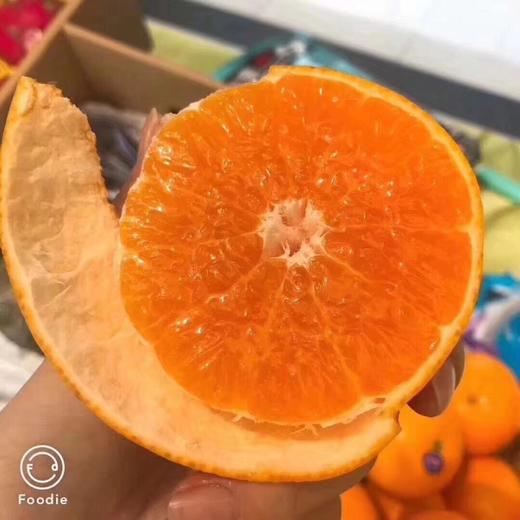 2PH澳橘  薄皮柑橘 商品图0
