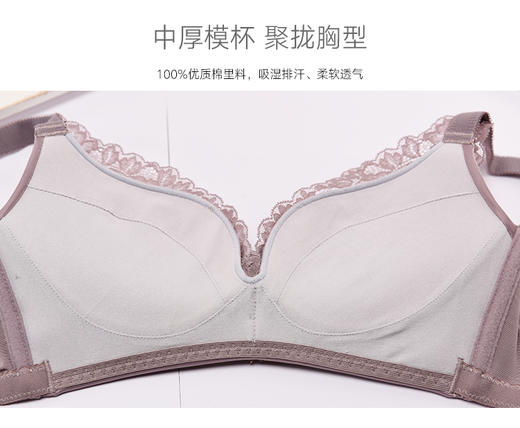 (39/2件）小胸中厚杯无钢圈聚拢文胸2118057 商品图4