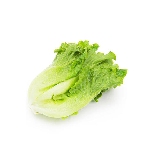 生菜春菜约400g份