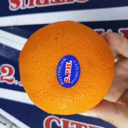 2PH澳橘  薄皮柑橘 商品图1