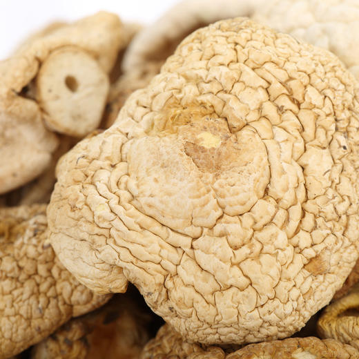 高原石渠白菌100g/罐装 两款包装随机发货 高原良仓