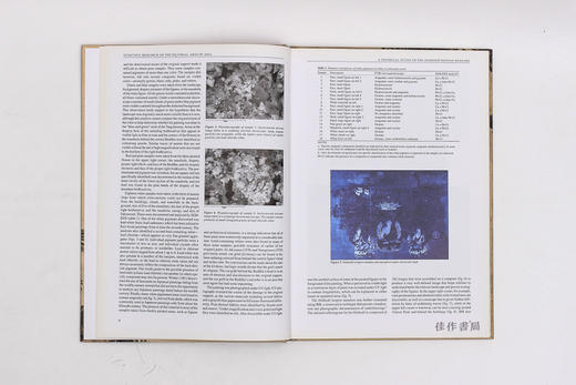 Scientific Research On The Pictorial Arts Of Asia: Proceedings Of The Second Forbes Symposium At The 商品图2