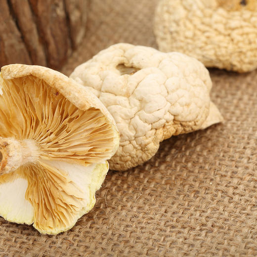 高原石渠白菌100g/罐装 两款包装随机发货 高原良仓