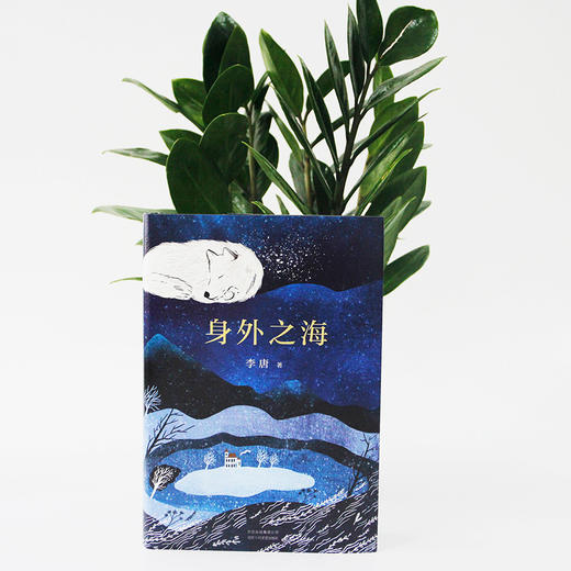 身外之海 商品图1