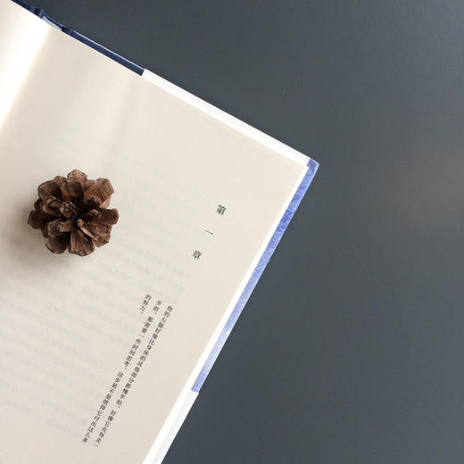 大雪将至 商品图3