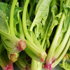 菠菜 300g 商品缩略图2