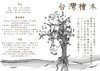 台湾桧木煎匙 商品缩略图1