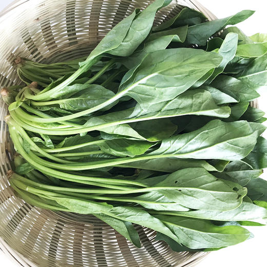 菠菜 300g 商品图4