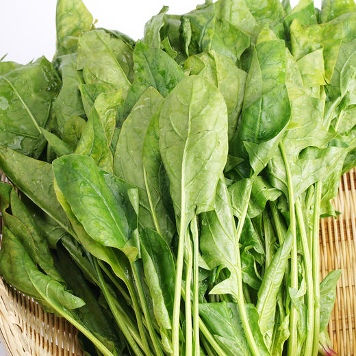 菠菜 300g 商品图1