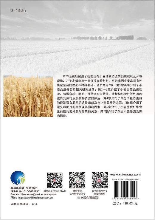 小麦品质多样性研究及优质资源筛选/姜小苓 商品图1