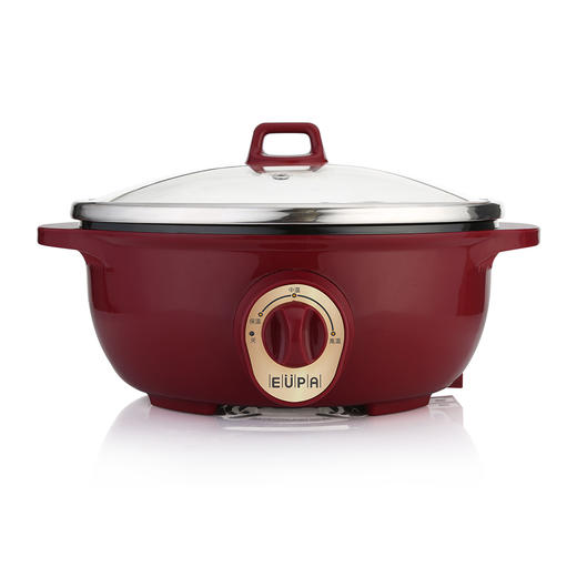 TSK-GW941 博雅 多功能电热锅 商品图1